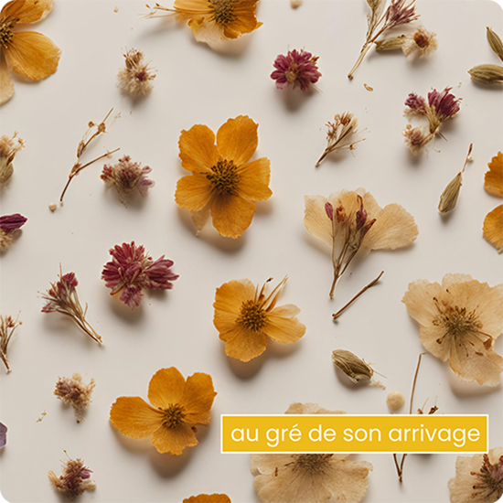 Bouquet de fleurs séchées