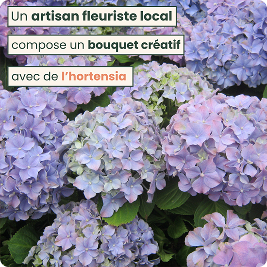 Bouquet du fleuriste spécial hortensia