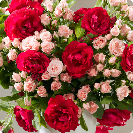 Bouquet du Fleuriste Roses & Rouges - 123fleurs - Livraison rapide