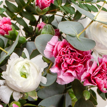 Fleurs selon arrivage en boutique
