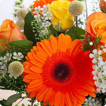 Bouquet de fleurs spécial anniversaire - Livraison en 4 heures