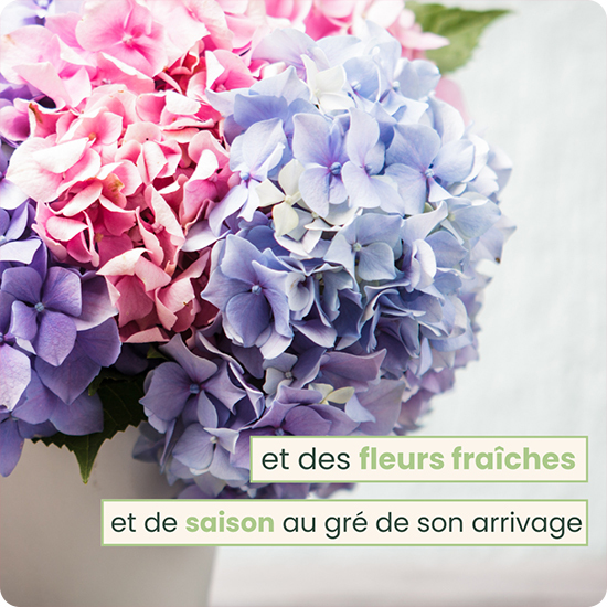Bouquet du fleuriste avec des fleurs bleues
