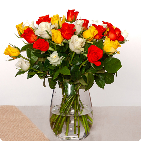 De la petite rose blanche, orange et jaune