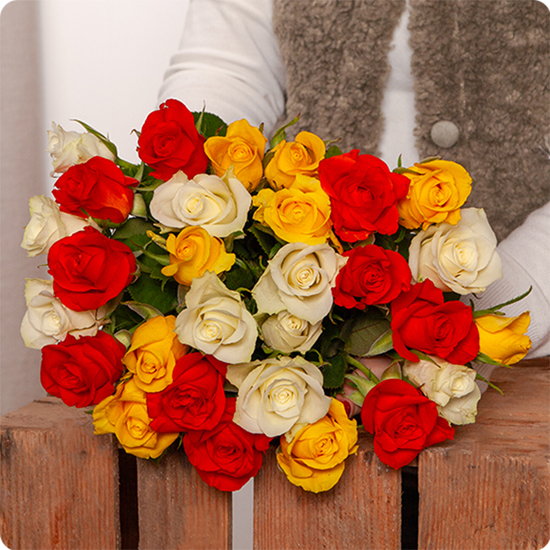 De la petite rose blanche, orange et jaune