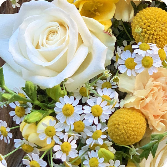 Bouquet Éclat de Vanille - Livraison de fleurs avec 123fleurs