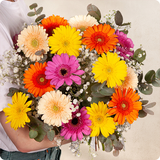 Bouquet de fleurs gerberas colorés Enjoy