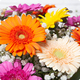 Bouquet de fleurs gerberas colorés Enjoy