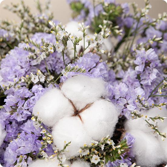 Bouquet Eternel – 123fleurs – Livraison aujourd’hui