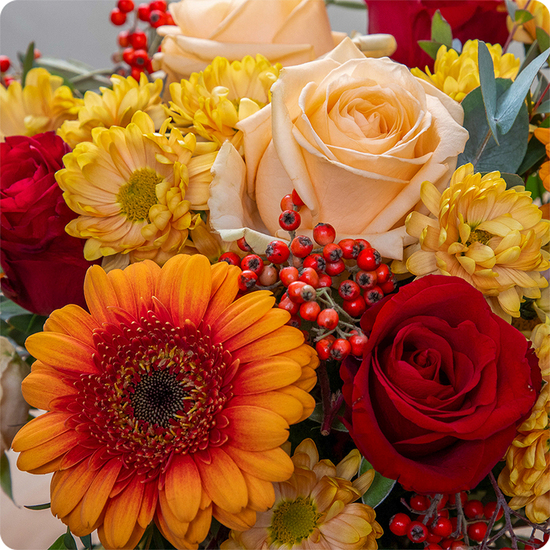 Le Bouquet Fauve est livré partout en France avec 123fleurs, même en quelques heures.