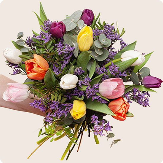 Fleurs de saison -Tulipes multicolores