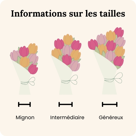 Fleurs de saison -Tulipes multicolores