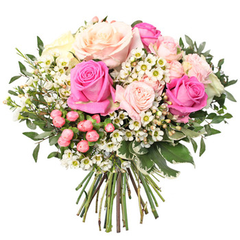 Flora