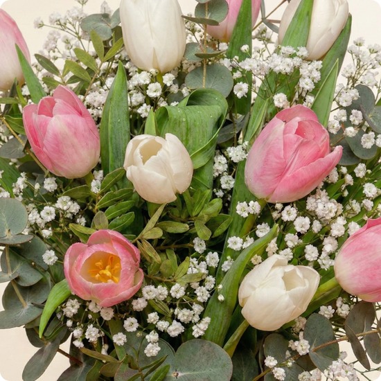 Bouquet de tulipes roses et blanches