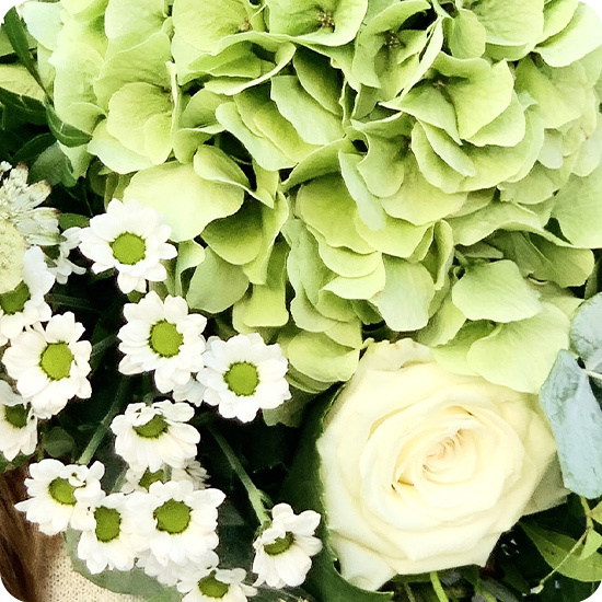 Bouquet Victoria hortensia vert 