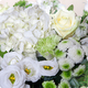Bouquet Hortensia Velours – Élégance blanche et fraîcheur d’été