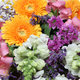 Bouquet Iconique aux gerberas oranges, mufliers blancs, alstroemerias roses et fleurs champêtres - 123fleurs