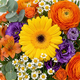 Bouquet Jardin Coloré composition champêtre jaune orange blanc violet 123fleurs