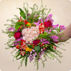 Bouquet Jardin Sauvage 123fleurs – Livraison aujourd’hui - Bouquet avec d l'hortensia