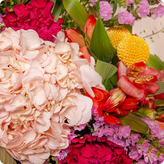 Bouquet Jardin Sauvage 123fleurs – Livraison aujourd’hui - Bouquet avec d l'hortensia