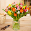 Bouquet Jolies tulipes
