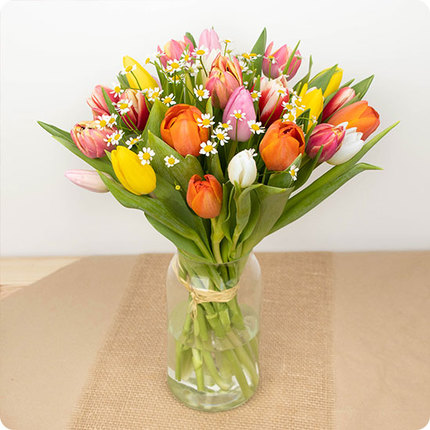 Bouquet Jolies tulipes