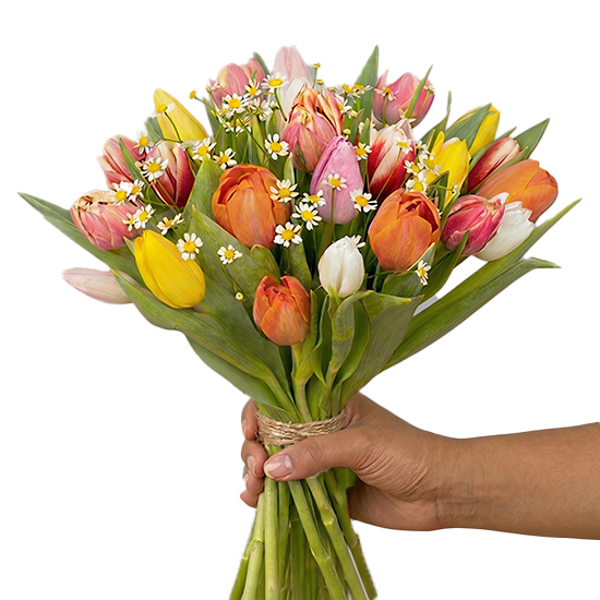 Bouquet Jolies tulipes