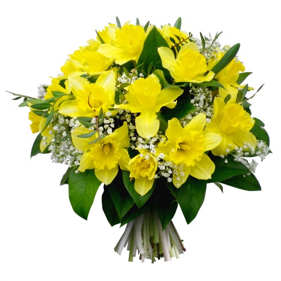 Bouquet Jonquilles Lumière - Livraison de fleurs | 123Fleurs