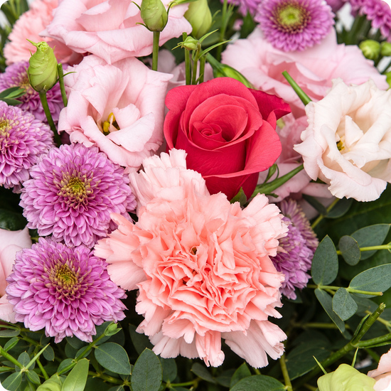 Offrez un moment de bonheur avec le Bouquet Joyeux Anniversaire, une composition colorée et joyeuse, livrée aujourd’hui partout en France par 123fleurs.
