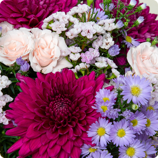 Fleurs tendres livrées en 4h avec 123fleurs