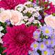 Bouquet Lamira - composition florale avec roses roses pâles, chrysanthèmes violets, asters mauves et feuillage fin