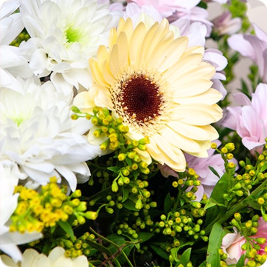 Offrez un bouquet signature raffiné aux tons crème et rose pâle