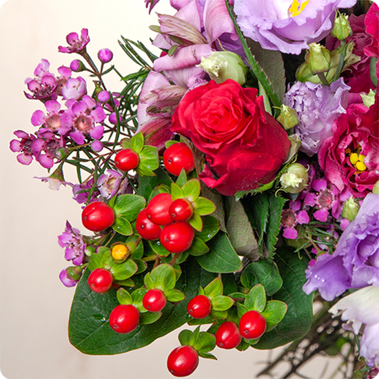 Craquez pour le Bouquet Mambo : un éclat de roses rouges, lisianthus violets et hypericum.