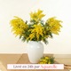 Bouquet rond de mimosa jaune dans un vase blanc – Bouquet Mimosa du Soleil 123fleurs