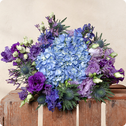 Bouquet Myrtille 123fleurs – Livraison aujourd’hui - Hortensia bleu