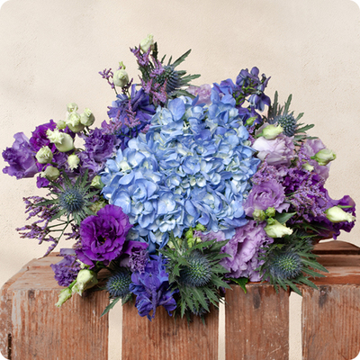 Bouquet Myrtille 123fleurs – Livraison aujourd’hui - Hortensia bleu
