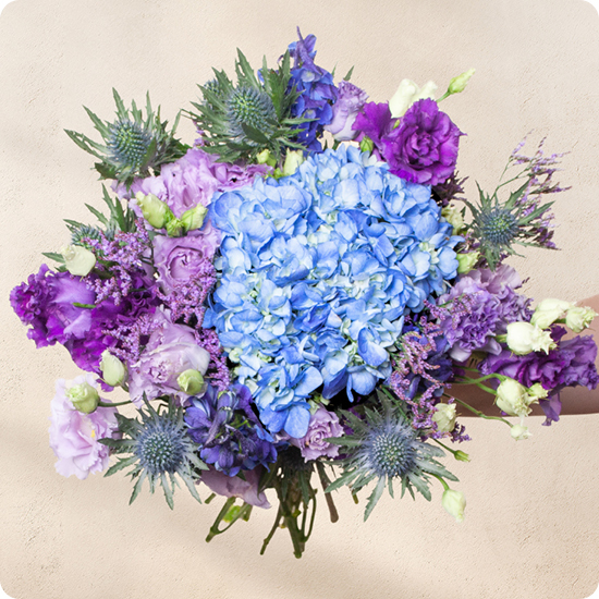Bouquet Myrtille 123fleurs – Livraison aujourd’hui - Hortensia bleu