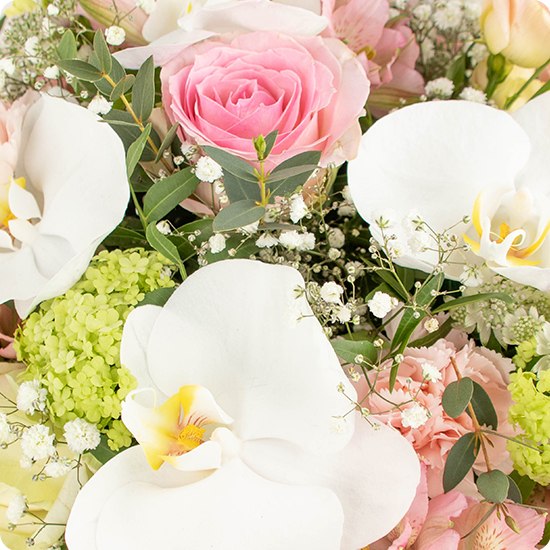 Bouquet Ôde