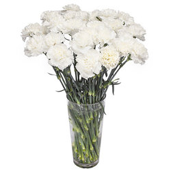 Bouquet œillet blanc