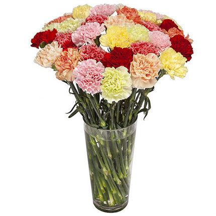Bouquet œillets colorés