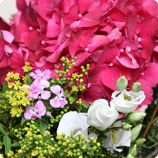 Un bouquet rond coloré avec hortensia fuchsia, lisianthus blanc et feuillage frais. Livraison rapide 7j/7 partout en France.