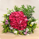 Bouquet Paimpol - Hortensia éclatant - Livraison rapide avec 123fleurs