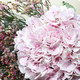 Bouquet destructuré avec gros hortensia