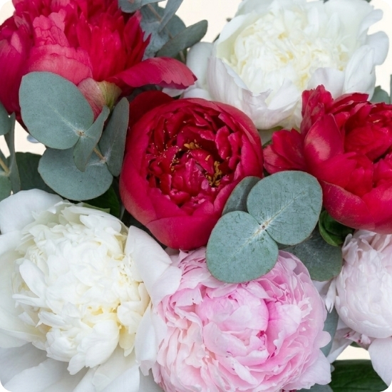 Avec 123fleurs, bénéficiez d’une livraison rapide partout en France, 7 jours sur 7, même les jours fériés, en seulement 4 heures, avec remise en main propre pour une présentation soignée.