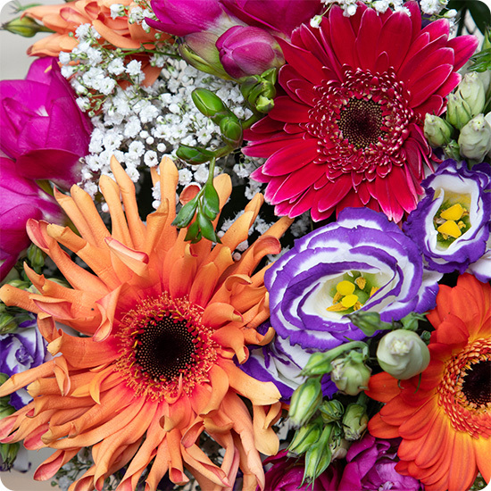 Envoyez un concentré de bonne humeur avec le Bouquet Peps !