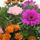 Bouquet de fleurs champêtre et coloré Prairie