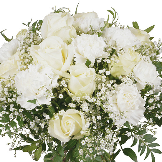 Rêve blanc