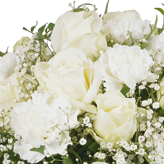 Rêve blanc