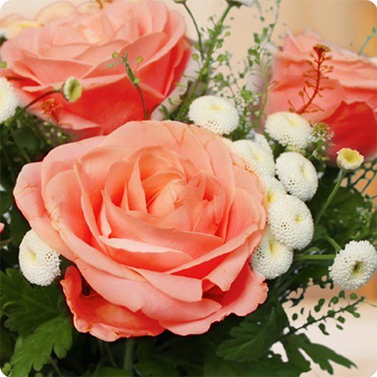 Bouquet rêve de roses avec de la rose couleur saumon