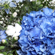Bouquet rond Rio avec hortensia bleu ou violet, lisianthus, nigella et gypsophile – création florale fraîche et élégante