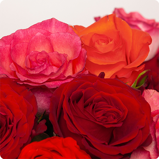 Bouquet dans un camaïeu avec des jolies roses